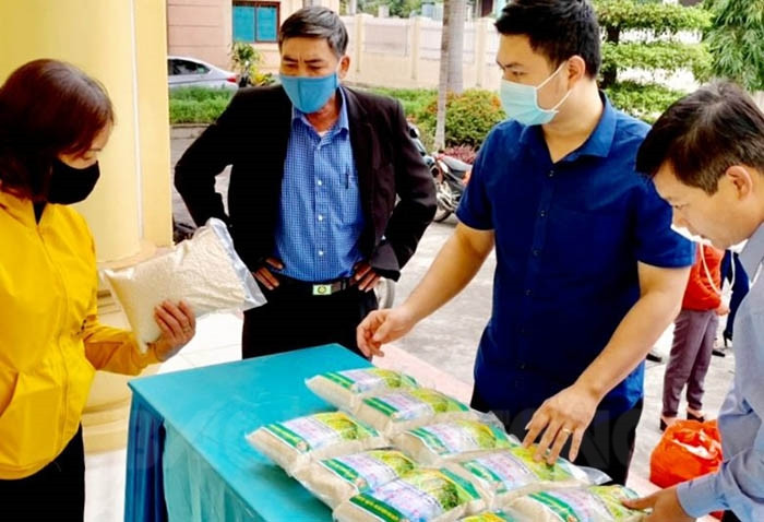 Phường Duy Tân lần đầu đưa gạo nếp cái hoa vàng an toàn vào thị trường Tết